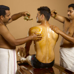 Ayurvedic rejuvenation and revitalization therapy